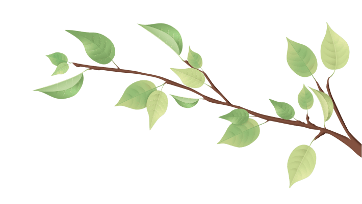 plant07