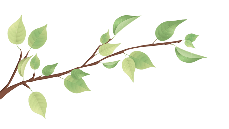 plant08