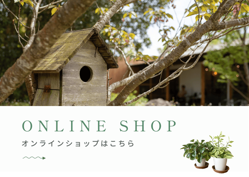 shop-banner